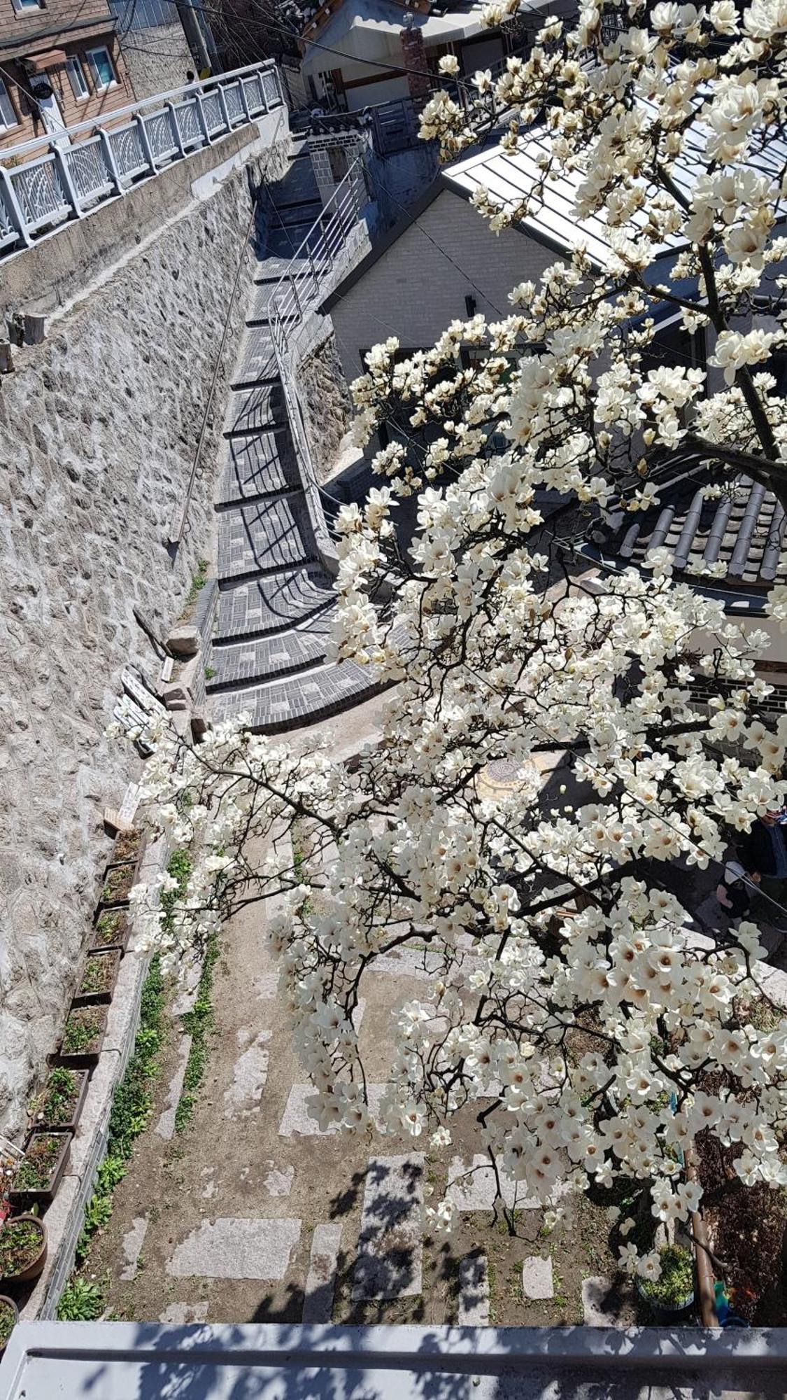 삼청동 코리아 게스트하우스 서울특별시 외부 사진